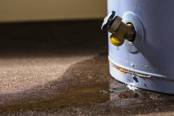 Best 24/7 water damage repair  in Fairfield, TX