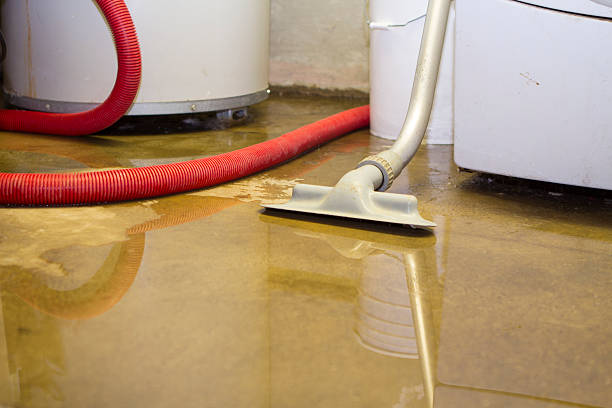 Best Commercial water damage restoration  in Fairfield, TX